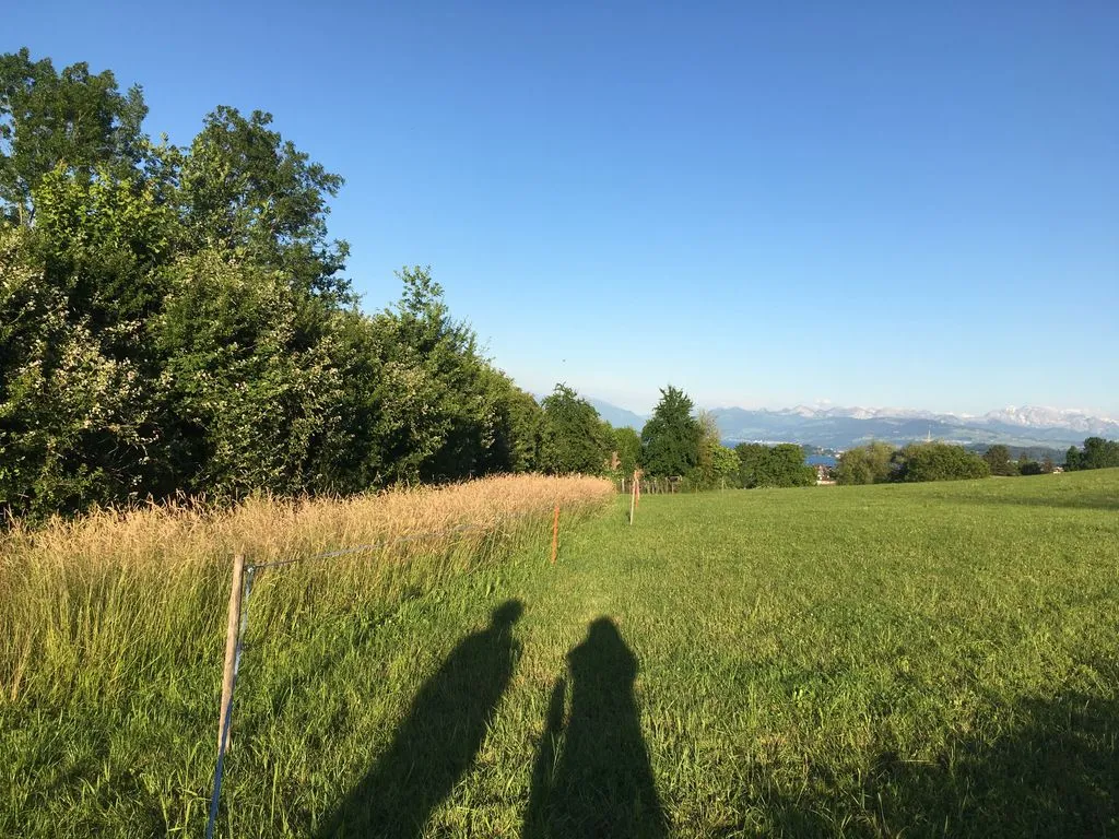 Schatten von zwei Personen auf dem Feld