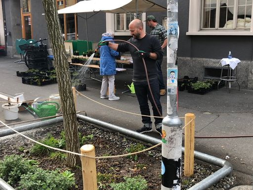 Mann giesst Baum an Strasse.