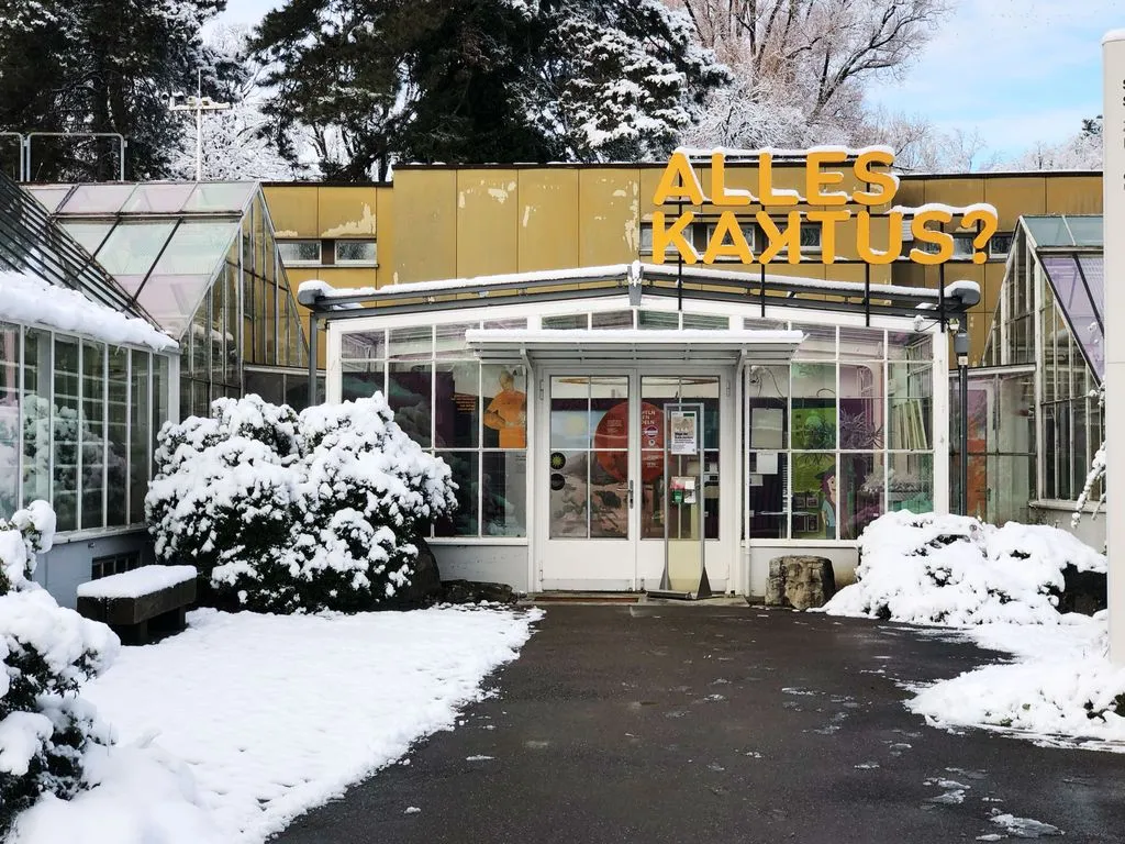 Museum im Schnee, "Alles Kaktus" steht drauf.