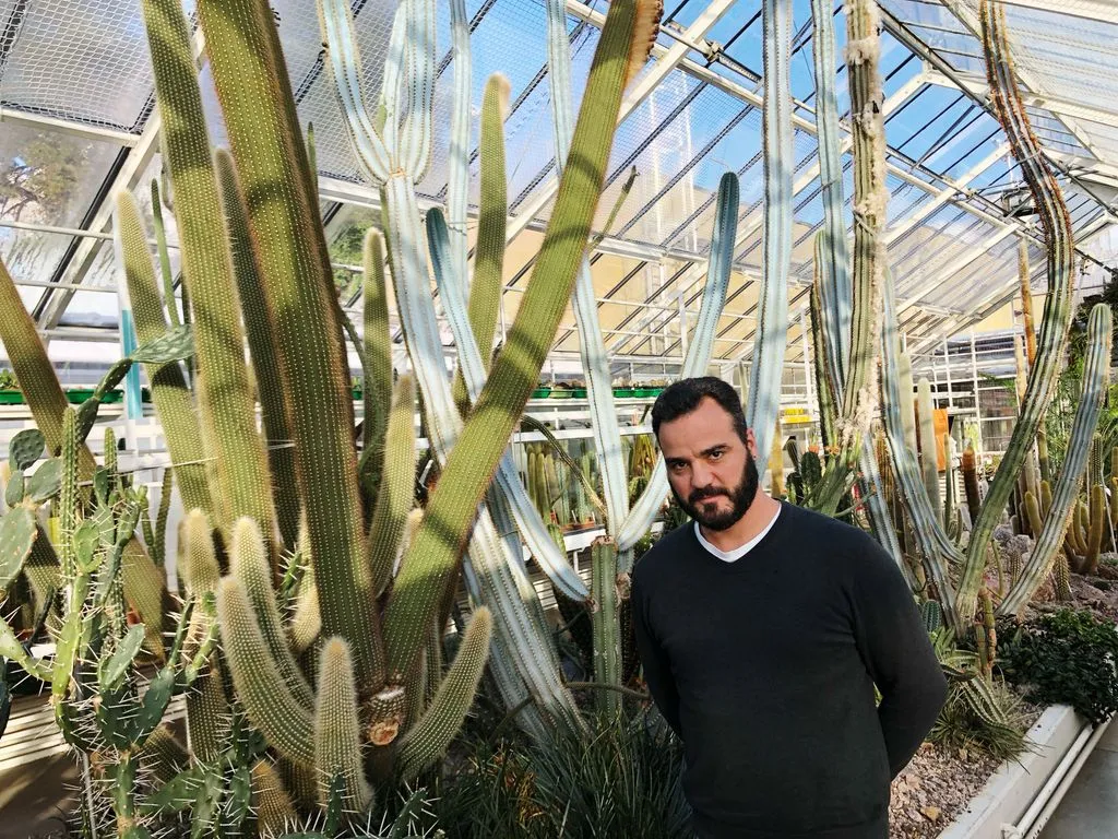 Person mit Bar steht vor Kaktus.