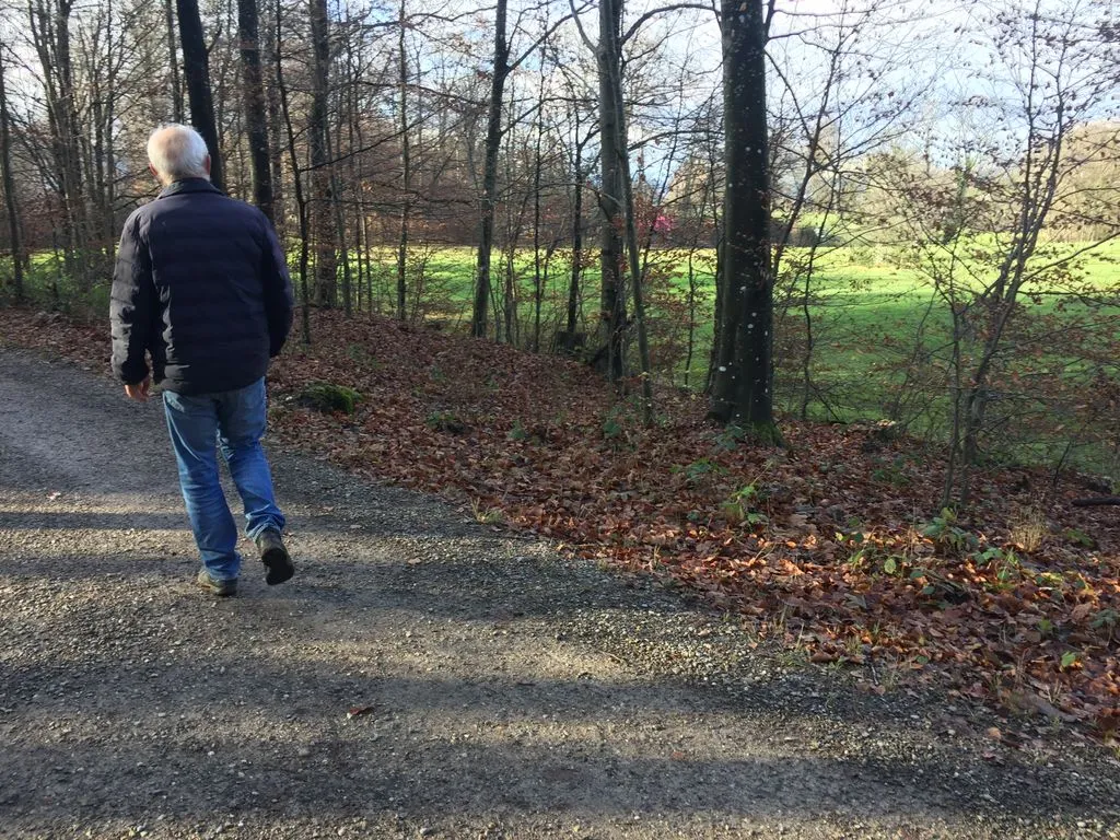 Mann spaziert durch eine Baumallee.