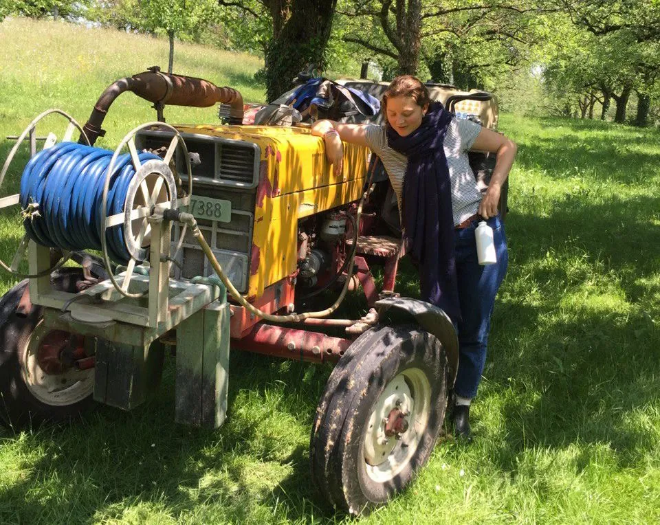 Junge Person steht neben kleinem Traktor auf Wiese.
