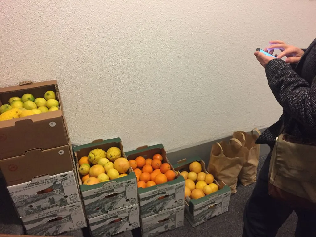 Mann steht vor Kisten voller Orangen und Zitronen.