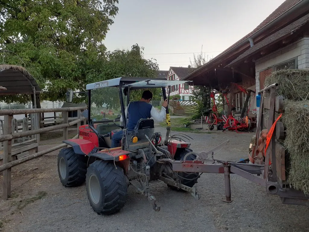 Mann auf kleinem Traktor auf Bauernhof