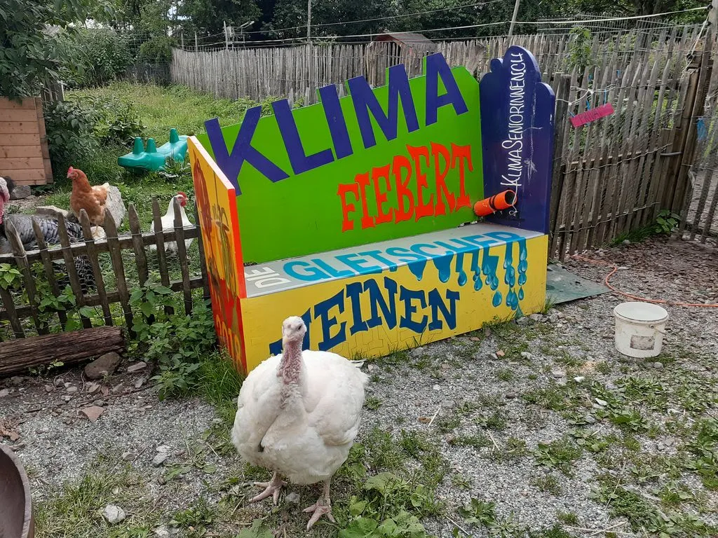 Bemalte Klimaaktivismusbank auf Bauernhof mit Hühnern